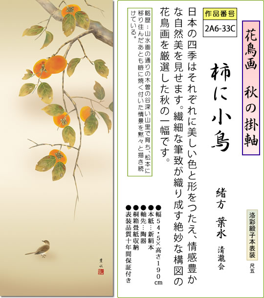 秋の掛け軸 柿に小鳥 緒方葉水 尺五 本表装 床の間 花鳥画 モダン 掛軸