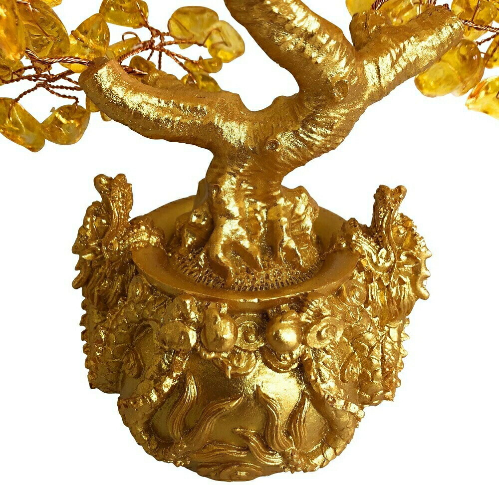 楽天市場】龍の黄金木 招財樹 金のなる木 黄水晶 風水アイ : ショップ