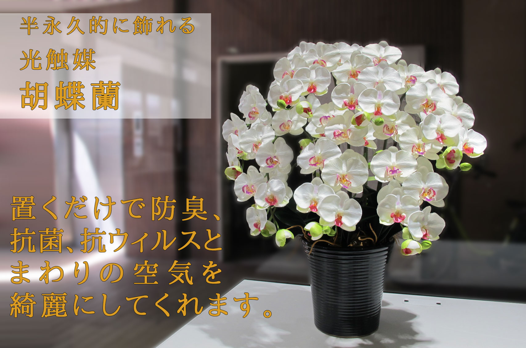 造花 光触媒 胡蝶蘭(大) 60,000円 | 地域限定商品 - 造花スタンド花