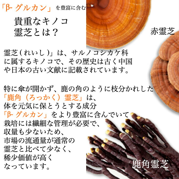 楽天市場】【クーポン配布中】霊芝茶 15包 5袋 セット 霊芝(レイシ