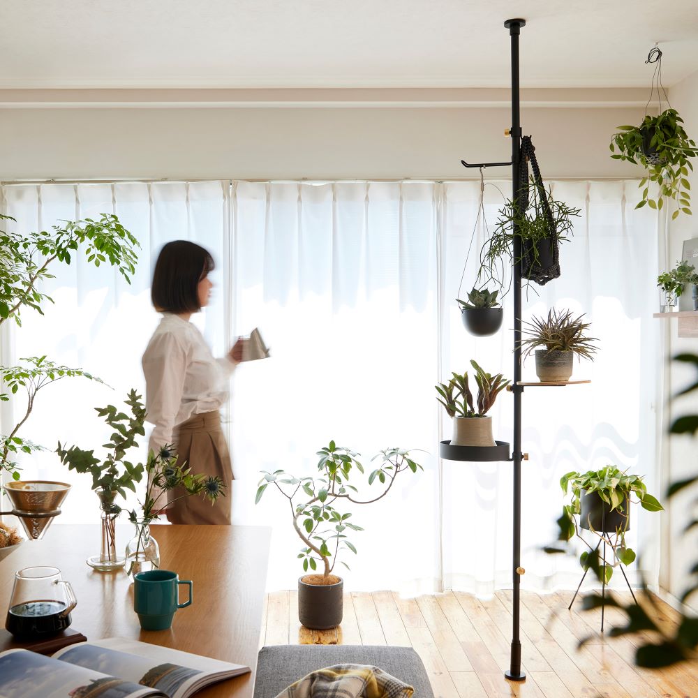 楽天市場】【公式】DRAW A LINE ドローアライン モリモリツリー SET