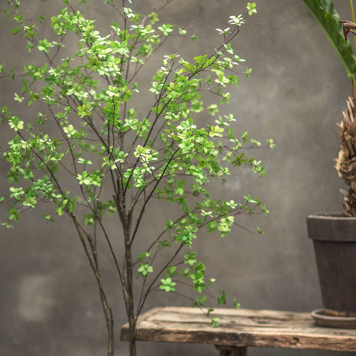 楽天市場】大型 フェイクグリーン 「 ドウダンツツジ 244cm シルカ