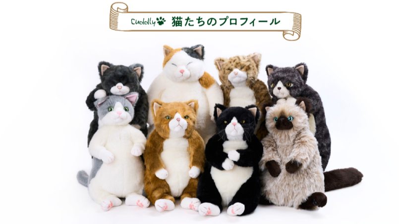 楽天市場】Cuddly (カドリー）ムッシュ 【ぬいぐるみ】【送料無料