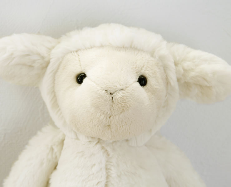 楽天市場】JELLYCAT（ジェリーキャット）Bashful Lamb Medium