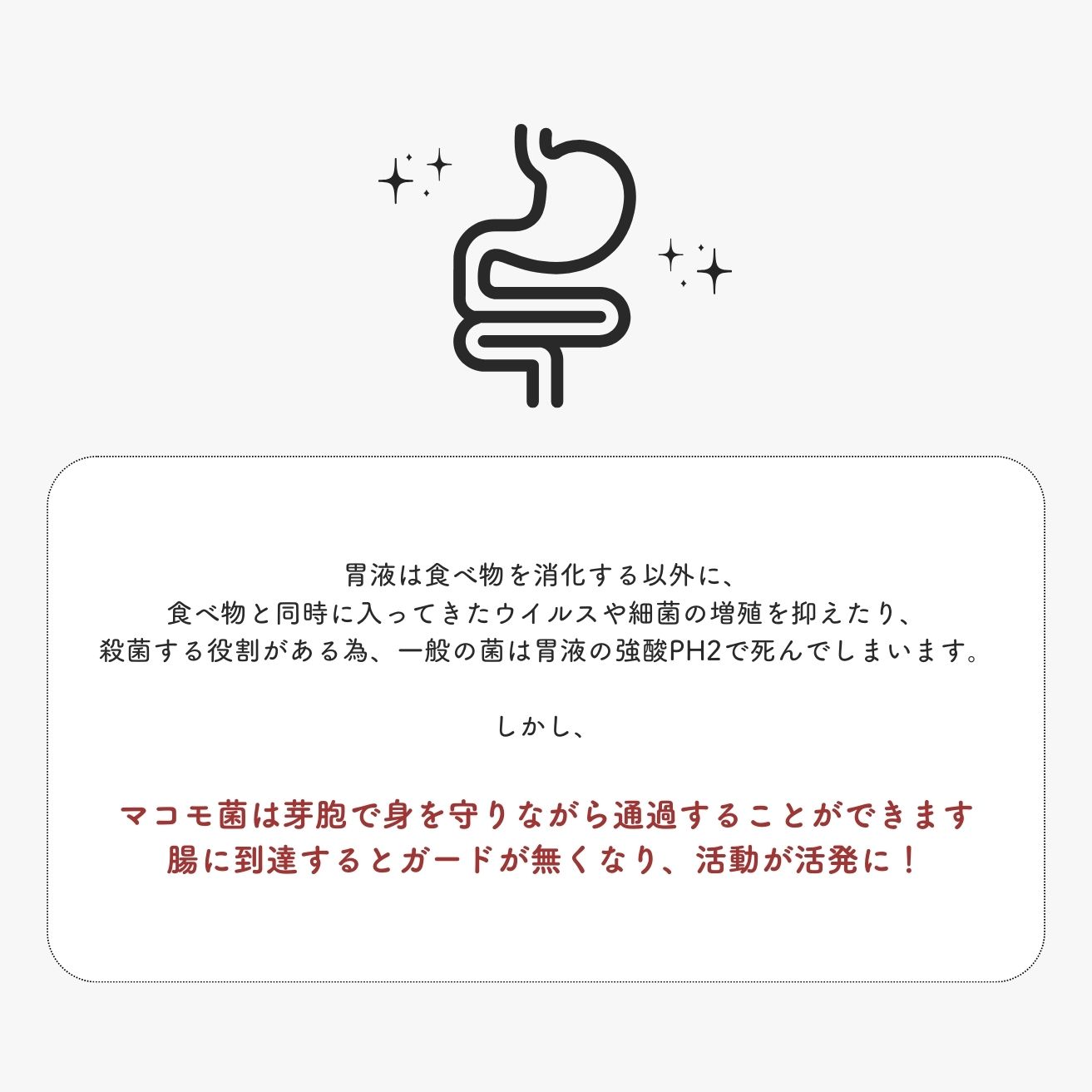 マコモレジェンドプラス