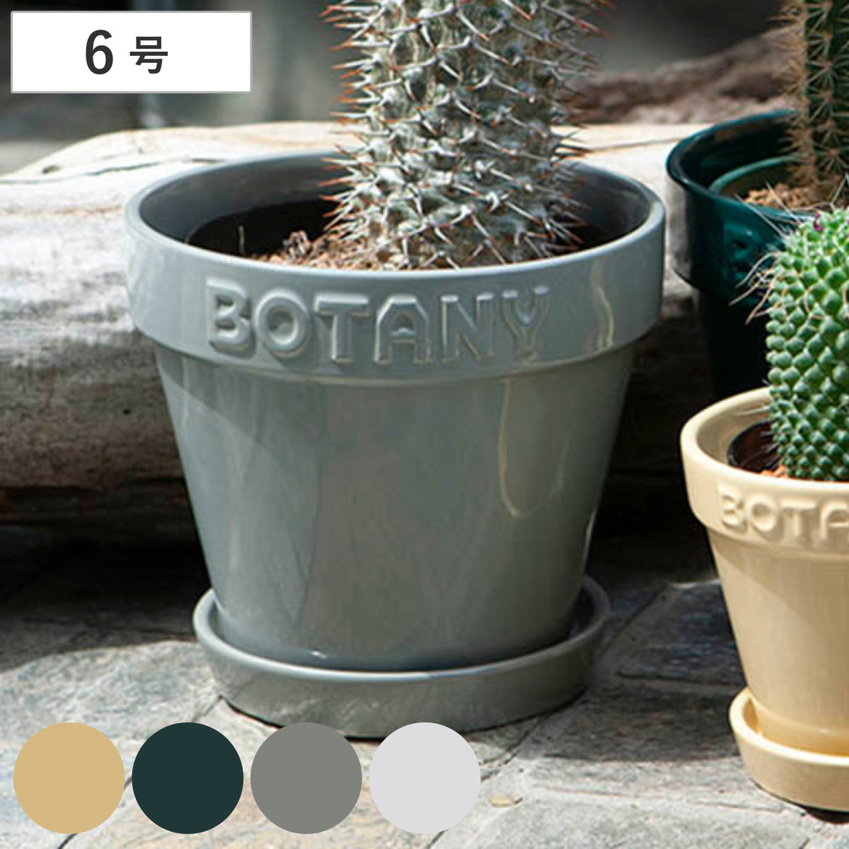 楽天市場】ダルトン 植木鉢 ボタニーポット 6号鉢 ガーデンポット