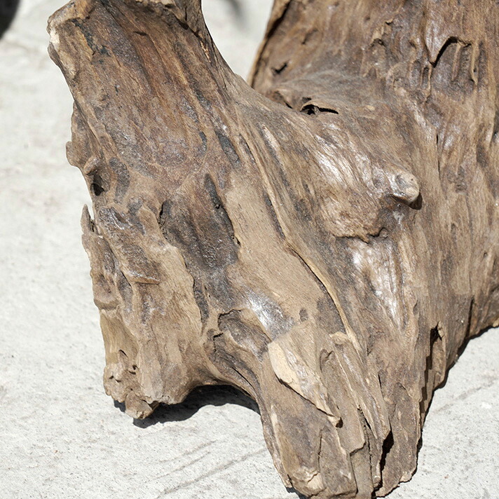 原木サイドテーブル ナチュラルチーク切り株 1点もの 【54100