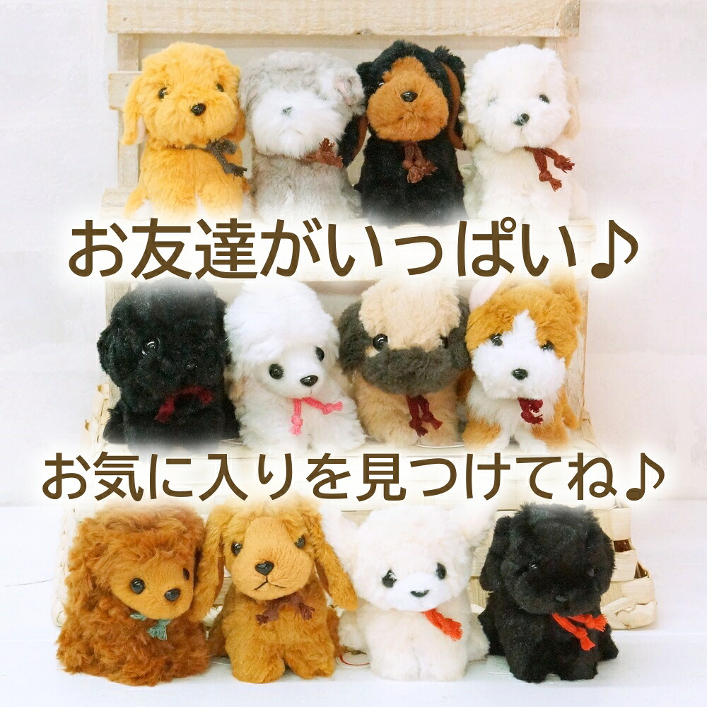 楽天市場】犬のぬいぐるみ プチお座りドッグ《ラブラドール・ブラック