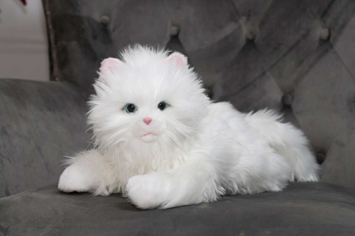 楽天市場】タカラトミーアーツ しっぽふりふり あまえんぼう子ねこ