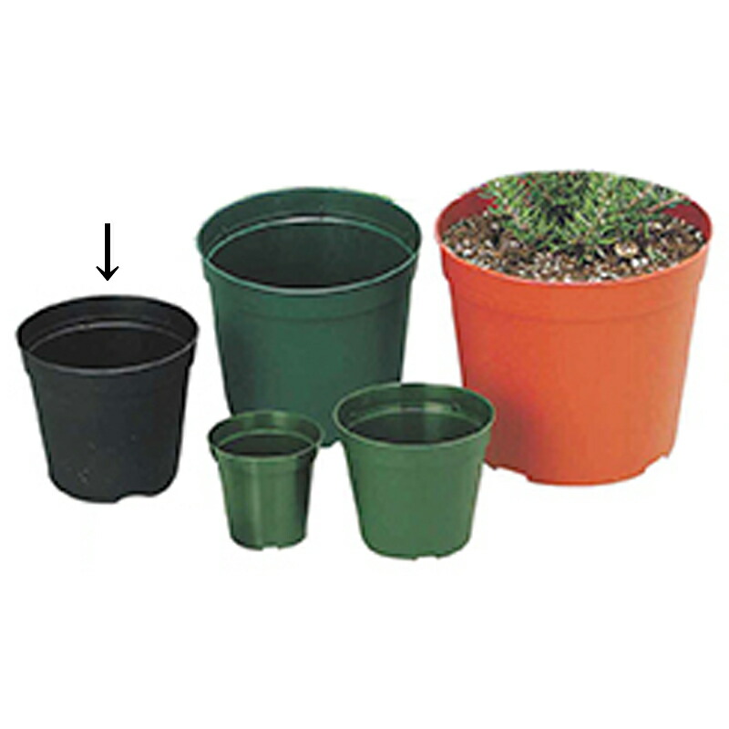 楽天市場】【100%ポイントバック エントリー＆抽選2/25まで】400個