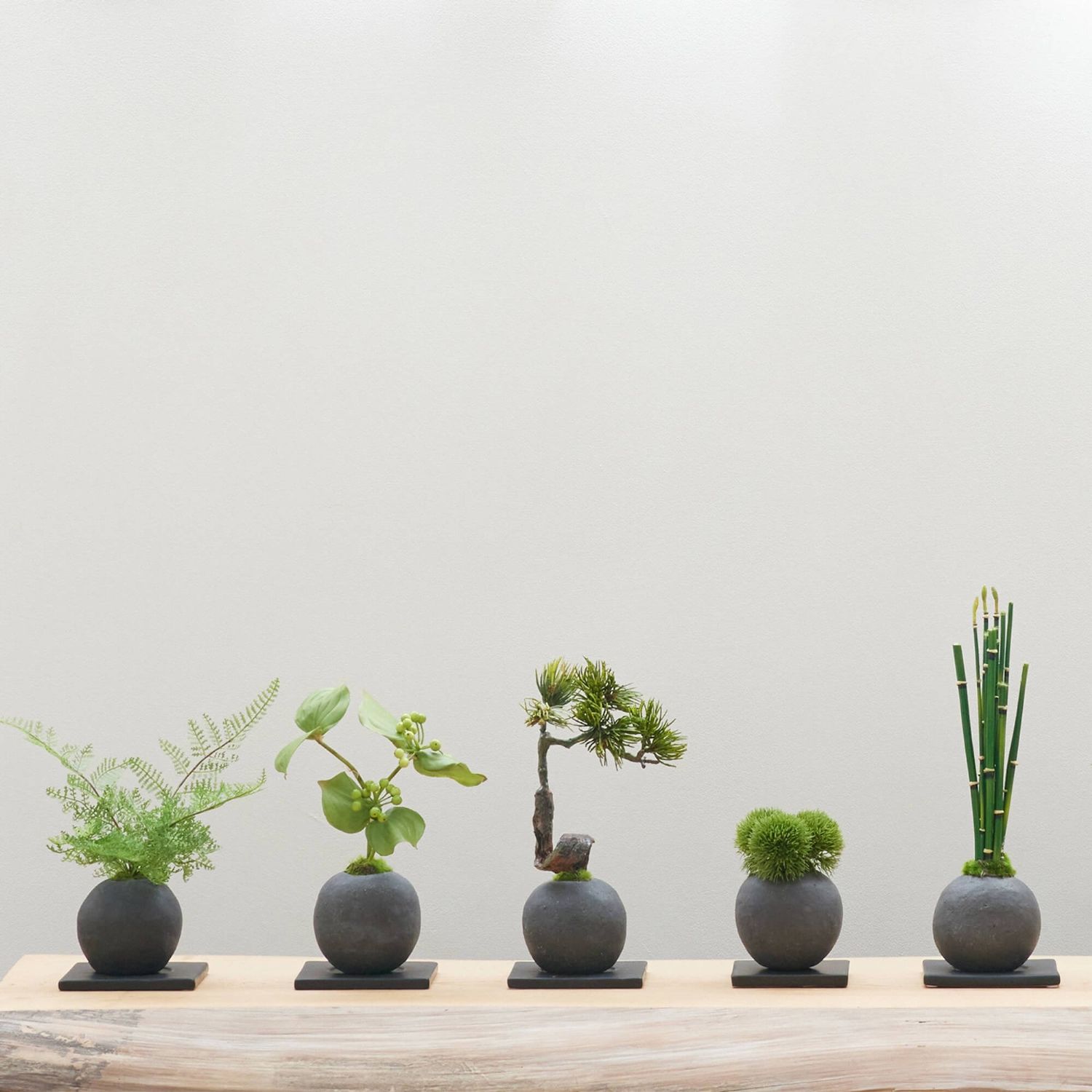 楽天市場】【ポイントUP】【公式】松 吹き流し 檜炭ボール(黒皿