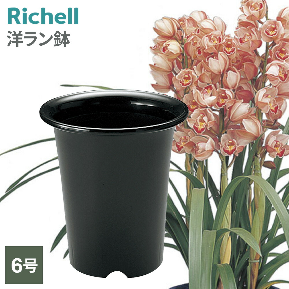楽天市場】リッチェル 洋ラン鉢 7号 ブラック 072873 ｜ 植木鉢