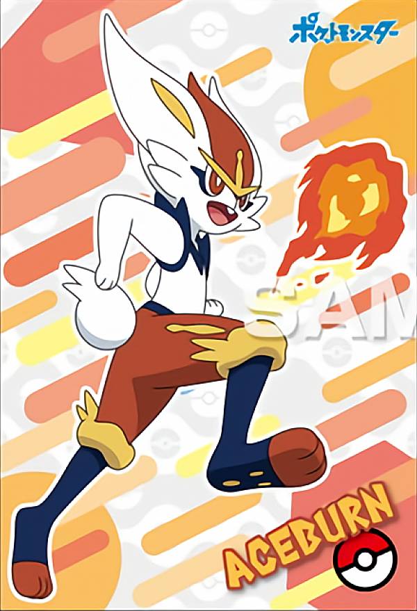 楽天市場】【ピカチュウ＆ポッチャマ】ポケットモンスター ポケモン