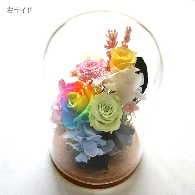 楽天市場】プリザーブドフラワー レインボー ガラスドーム 1個 花