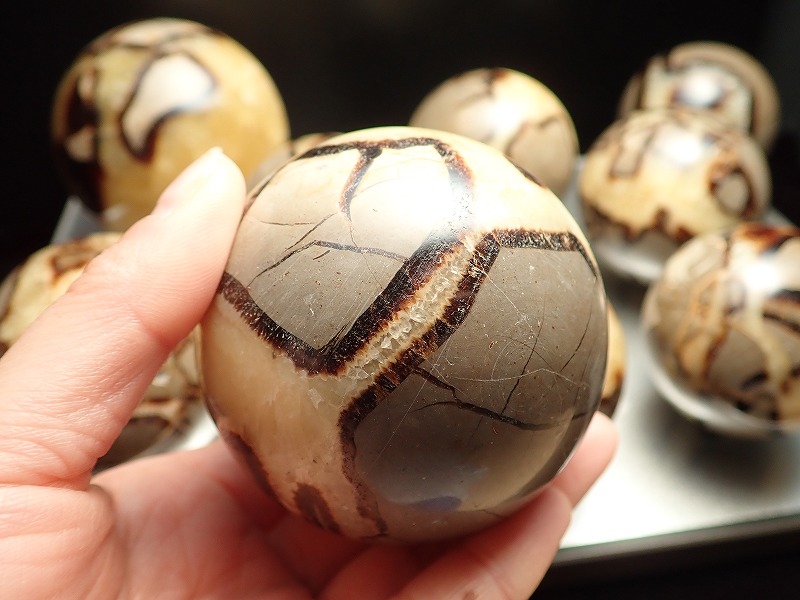 セプタリアン 丸玉 直径48mm-50mm ドラゴンストーン 新しい考えや価値