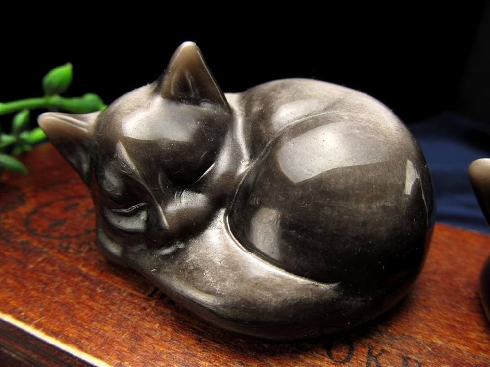 楽天市場】○癒しの眠り猫 Mサイズ【シラー有り シルバー