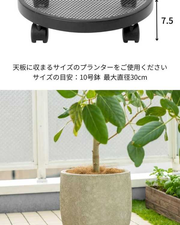 楽天市場】ポットスタンド 鉢台 ラウンド キャスター付き | 植木鉢 台