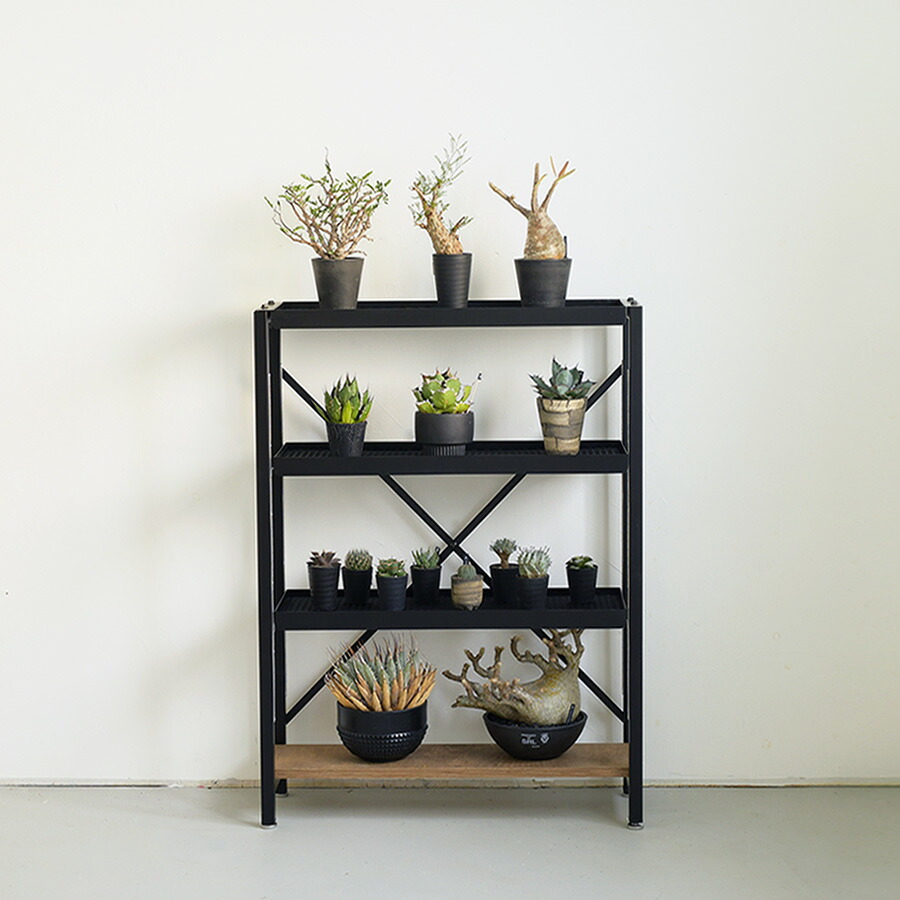 楽天市場】【国内自社生産】ボタニカルラック | SULK 組立式 耐荷重