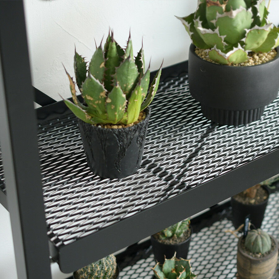 楽天市場】【国内自社生産】ボタニカルラック | SULK 組立式 耐荷重