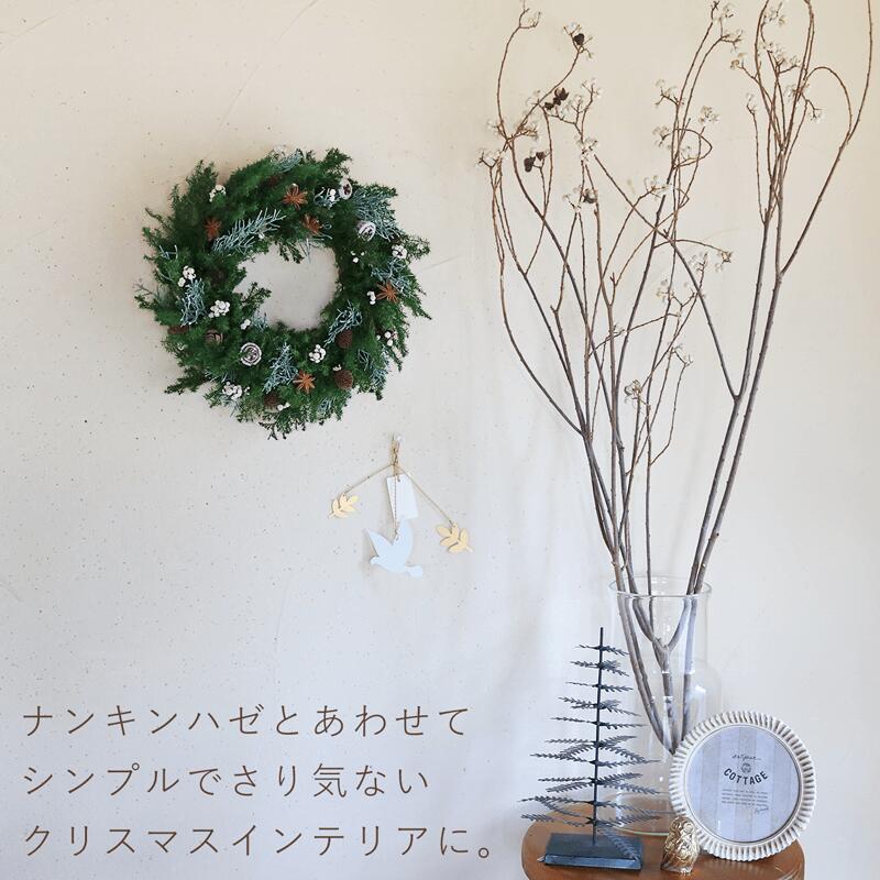 楽天市場】スターアニスと木の実の針葉樹リース ◇ プリザーブド