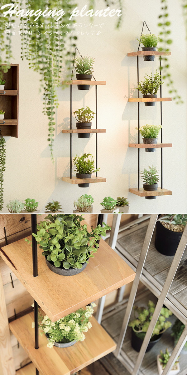 楽天市場】ハンギングプランター 5D 壁掛け用 5段 TTZ-315インテリア