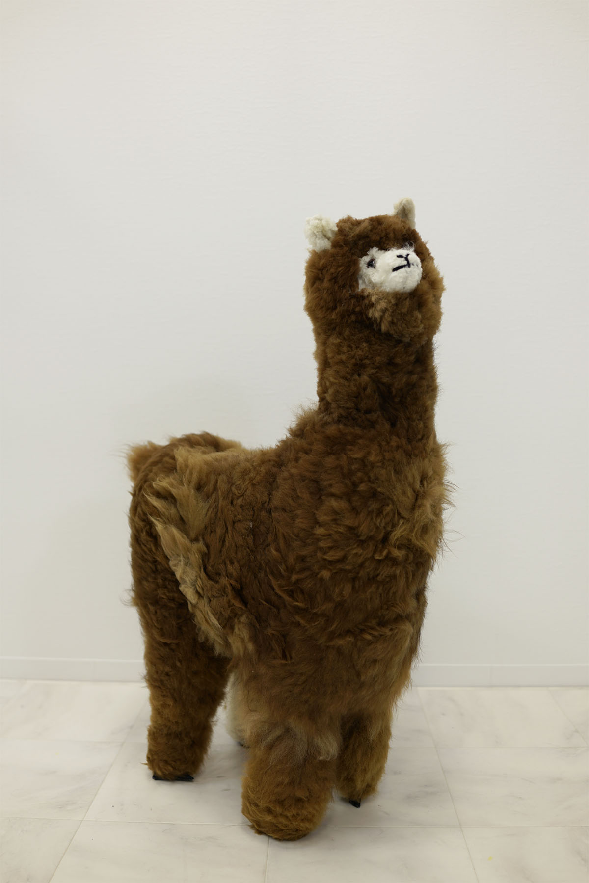 楽天市場】【クーポンあり】アルパカ ぬいぐるみ 特大 大サイズ L