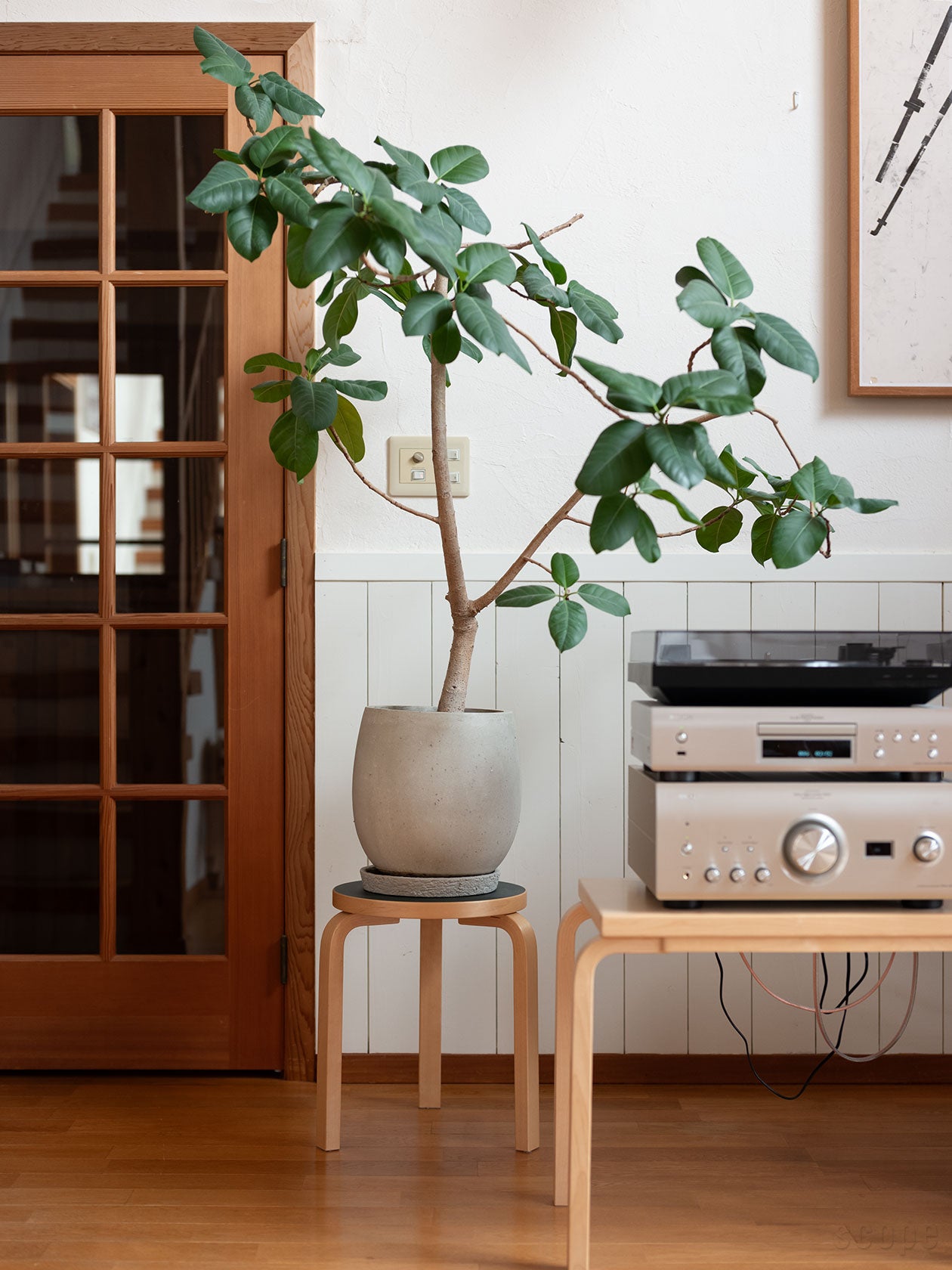 【新品】artek stool60 scope別注リノリウム　ペブル　3本脚 新品】artek stool60 scope別注リノリウム ペブル 3本脚 2013年から