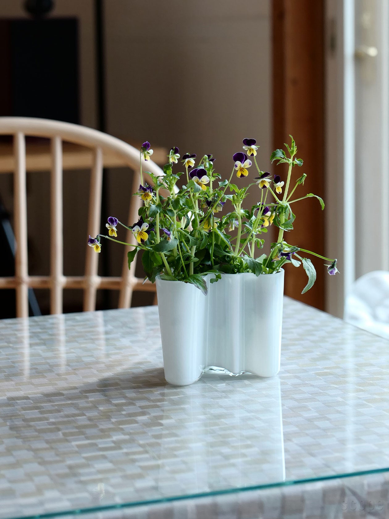 楽天市場】イッタラ / アアルト ベース 120mm [ iittala Alvar Aalto