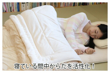 楽天市場】プラチナウェーブ 葵シングルセット : トータルヘルスデザイン