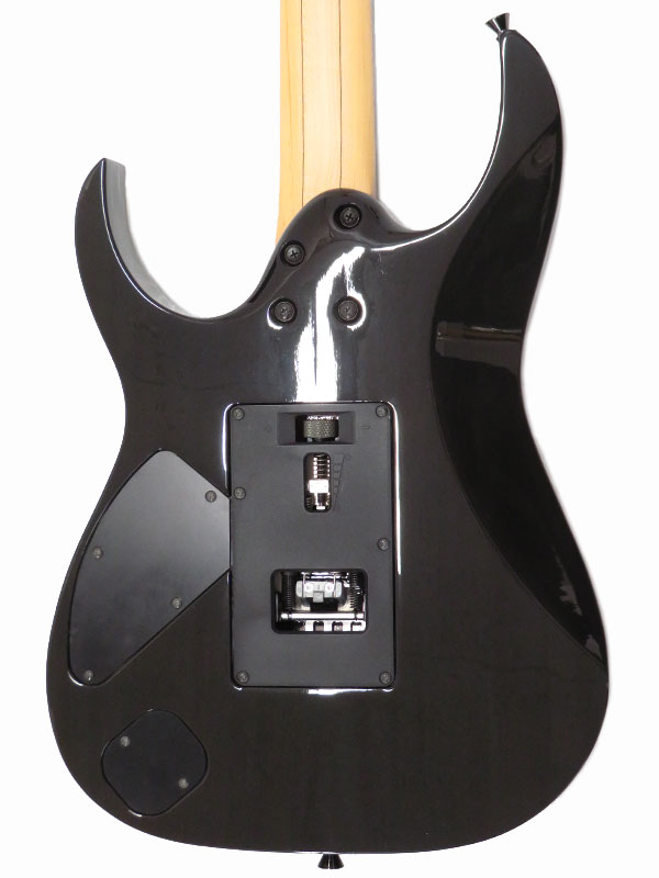 Ibanez】アイバニーズ『エレキギター』J.Custom RG8420ZD 2014年 1週間
