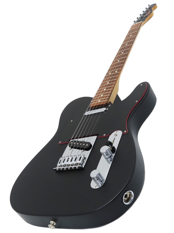 FenderMEXICO】フェンダーメキシコ『エレキギター』Special Edition