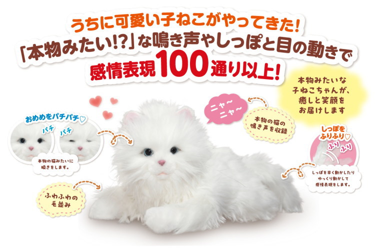 楽天市場】あなたのパートナー しっぽふりふり あまえんぼう 子ねこ