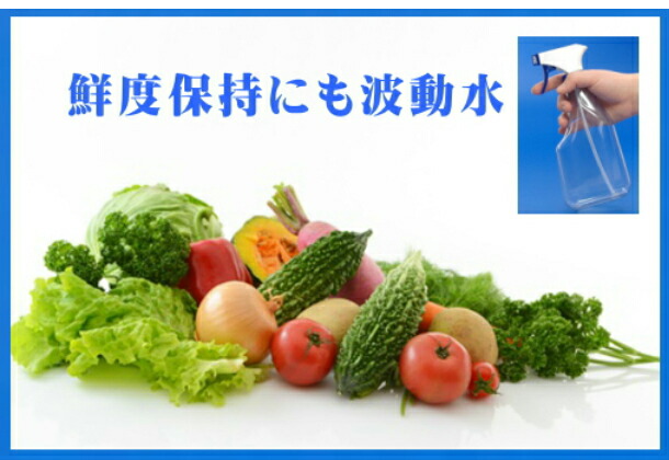 楽天市場】テラヘルツ波動水 （テラヘルツ 健康飲料 健康グッズ 健康