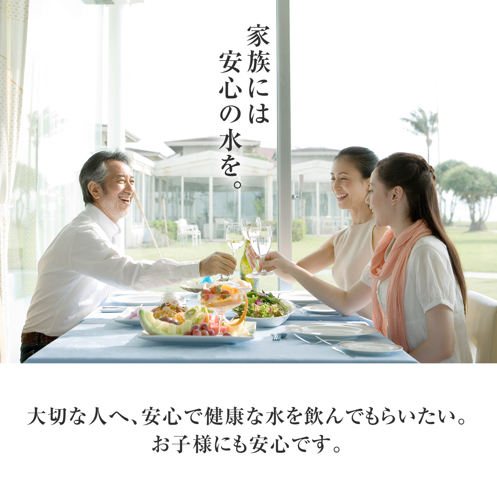 楽天市場】※本製品は生産終了となりました。健康アクア浄水器 - 30日間