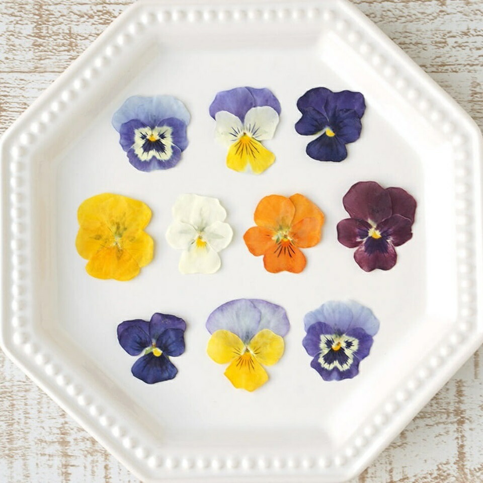 楽天市場】うずの華 【送料無料】＜10枚＞ドライエディブルフラワー