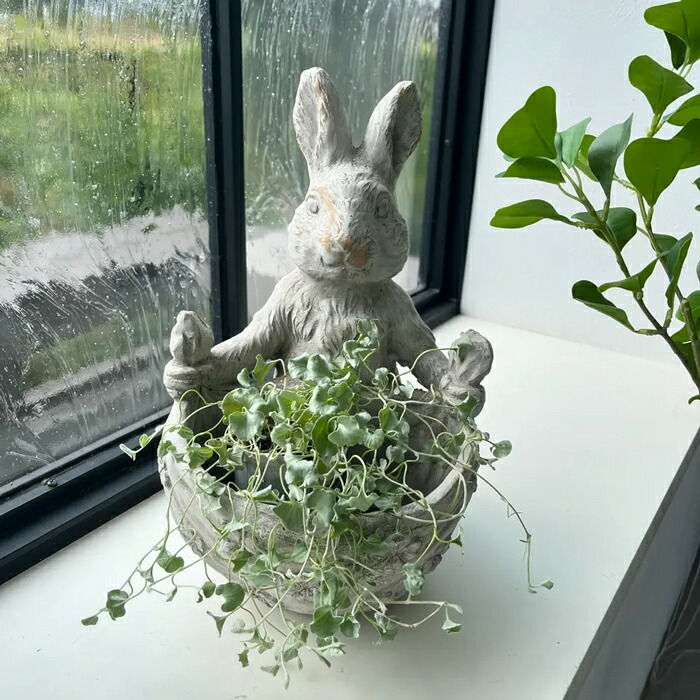 楽天市場】オブジェ 置物 ガーデン 室内 うさぎ ラビット 兎 ウサギ