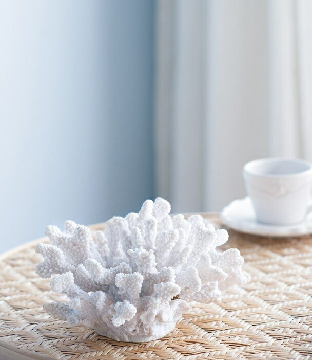 楽天市場】珊瑚 サンゴ Coral ホワイト White インテリア オブジェ