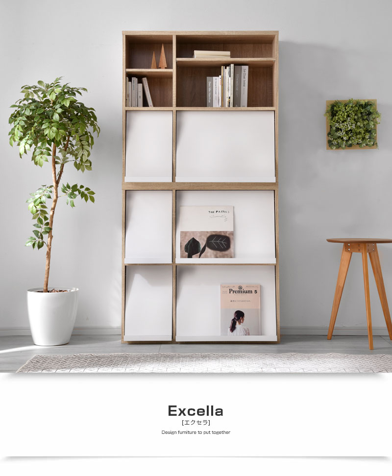 2種類セット セット ディスプレイラック 本棚 扉付 キッズ｜激安