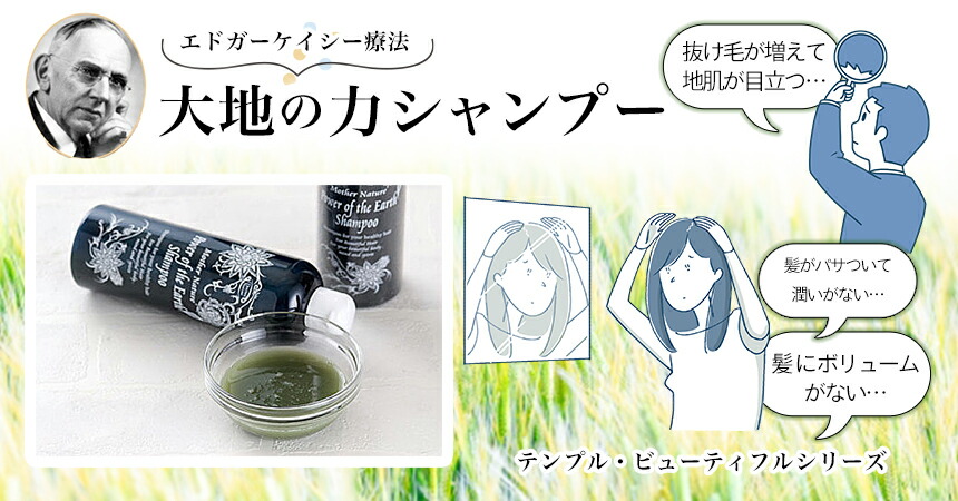楽天市場】【2本セット】大地の力シャンプー 300ml（テンプル