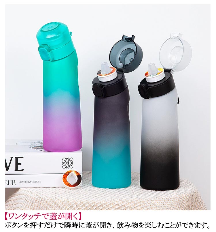 ヤスタ ビカクシダ4点セット+給水ボトル10個 ヤスタ ビカクシダ4点