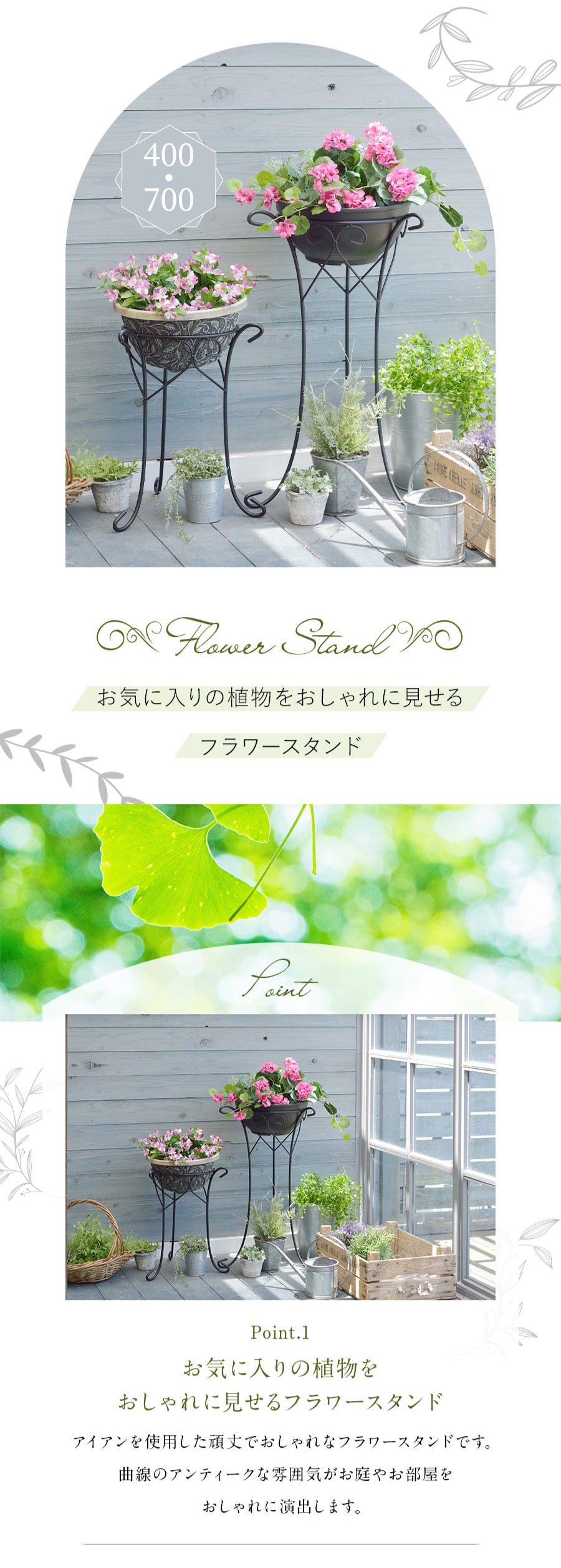 楽天市場】【2/25限定 クーポンで店内ほぼ全品10%OFF!】 フラワー