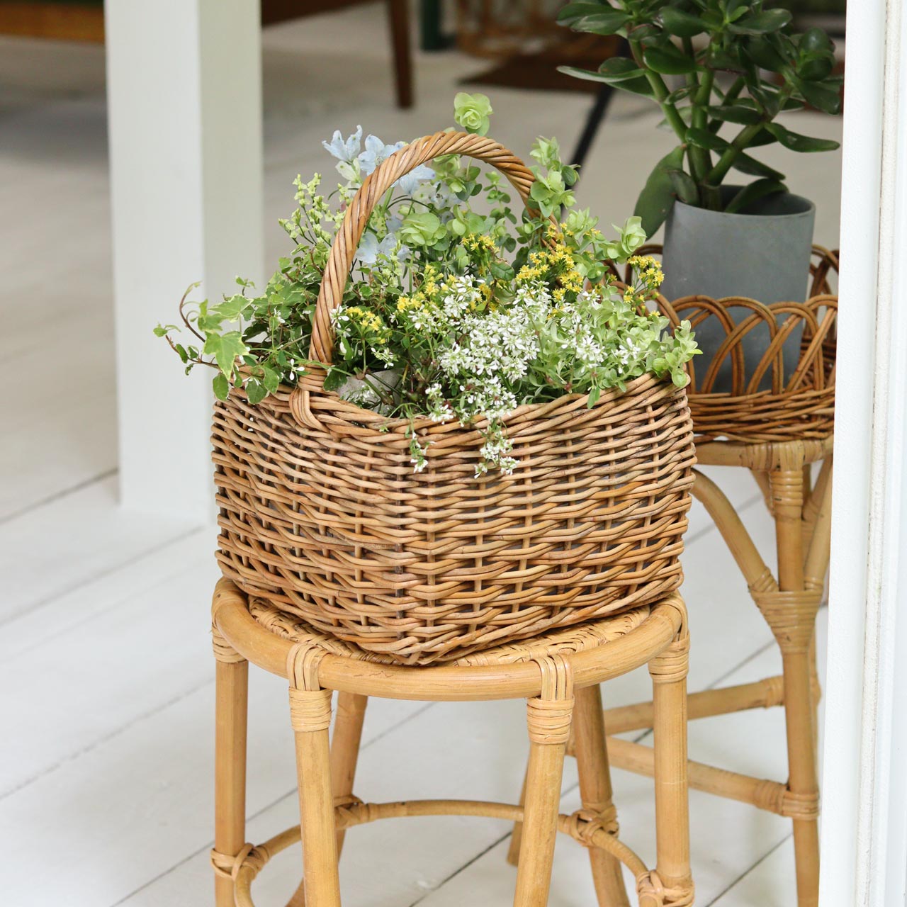 楽天市場】【公式】アラログ グリーンバスケット スクエア(THE AROROG