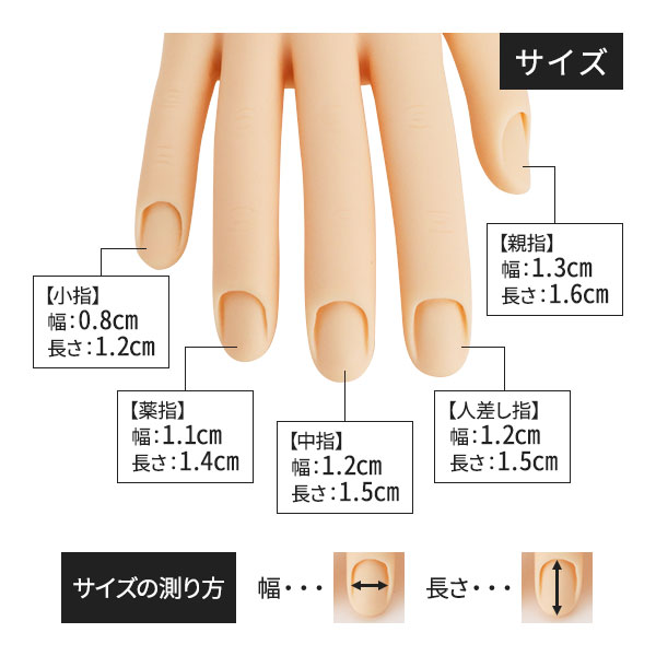 楽天市場】ネイル ハンド 練習 トレーニングハンド 右手 練習用 手 指