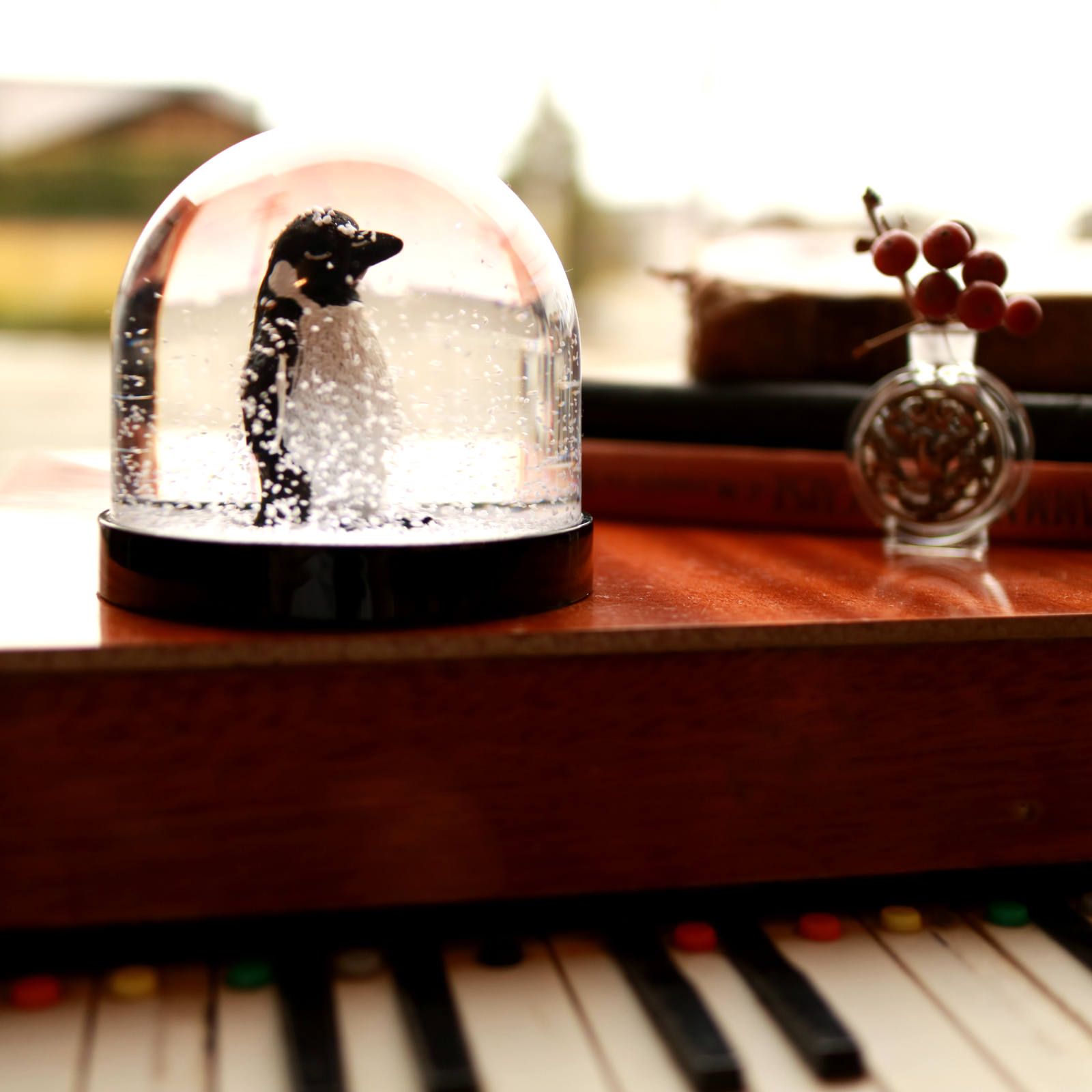 Wonder ball スノードーム「スノードール」 【&k amstedam】オランダ