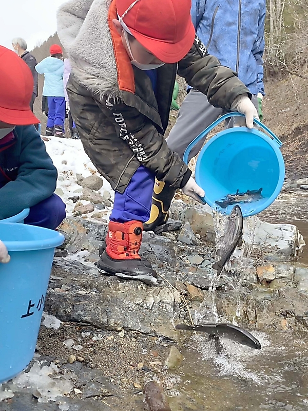 ニジマス「行ってらっしゃい」 上田市西内小2年生が放流体験 渓流釣り