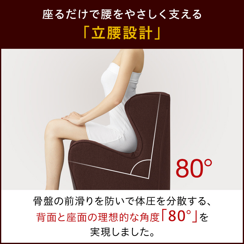 姿勢サポートチェア 「Style Dr.CHAIR Plus（スタイルドクターチェア