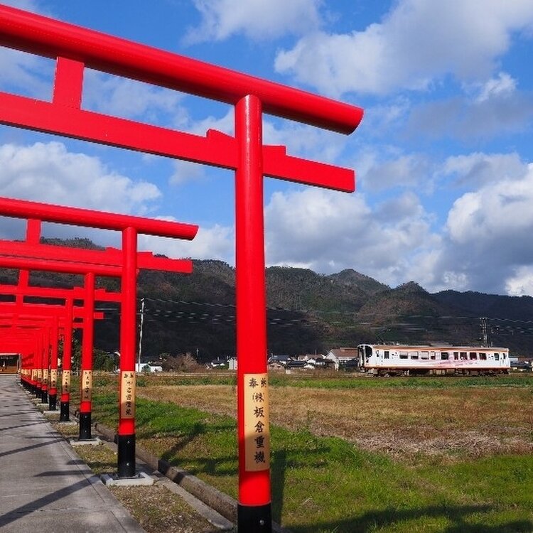 yellow poppy さんの投稿/粟津稲生神社 ｜ ことりっぷ