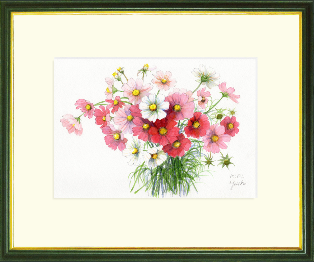 コスモス」水彩画（絵寸210×297・額寸377×454mm）志村好子