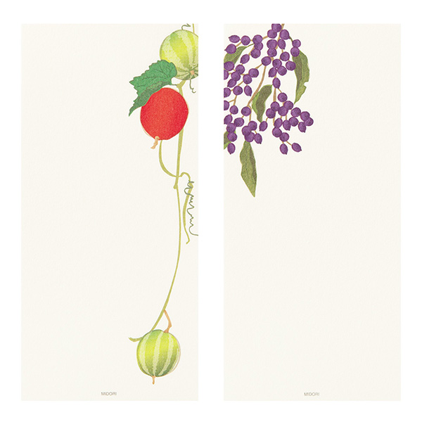 一筆箋｜紙シリーズ｜一筆箋 4柄入 秋の実柄(89552006)｜ミドリ