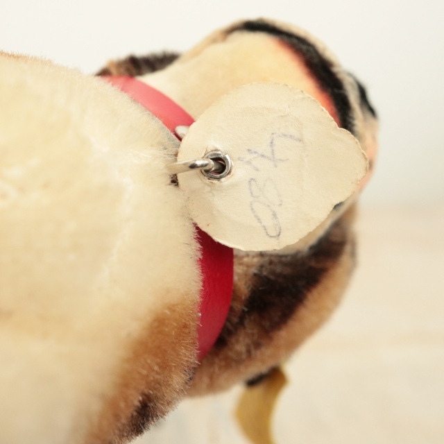 アンティーク シュタイフ ブルドッグ Steiff Bully 10cm